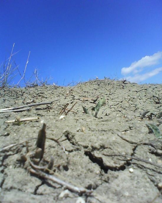 Холодна Балка з panoramio.com - Холодная Балка