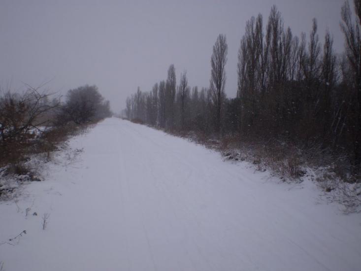 Кам'янка-Дніпровська з panoramio.com - Каменка-Днепровская