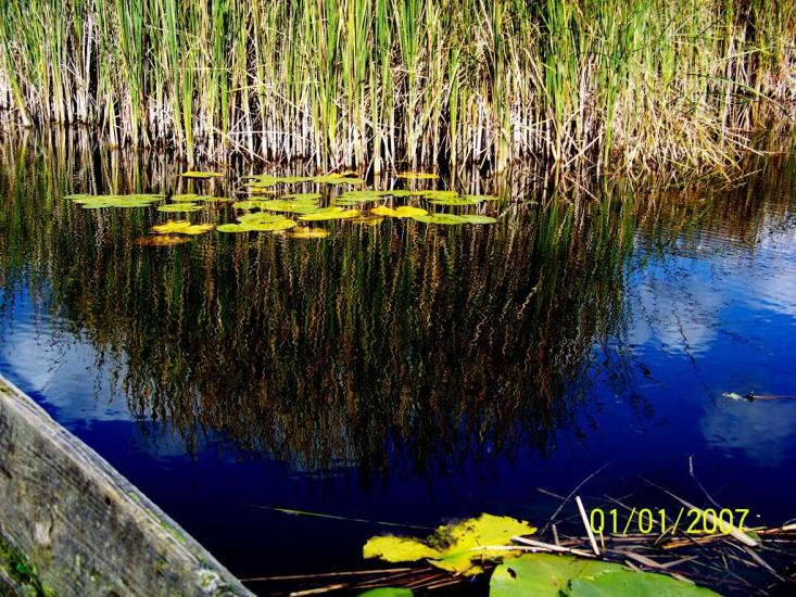 Пулемець з panoramio.com - Пулемець