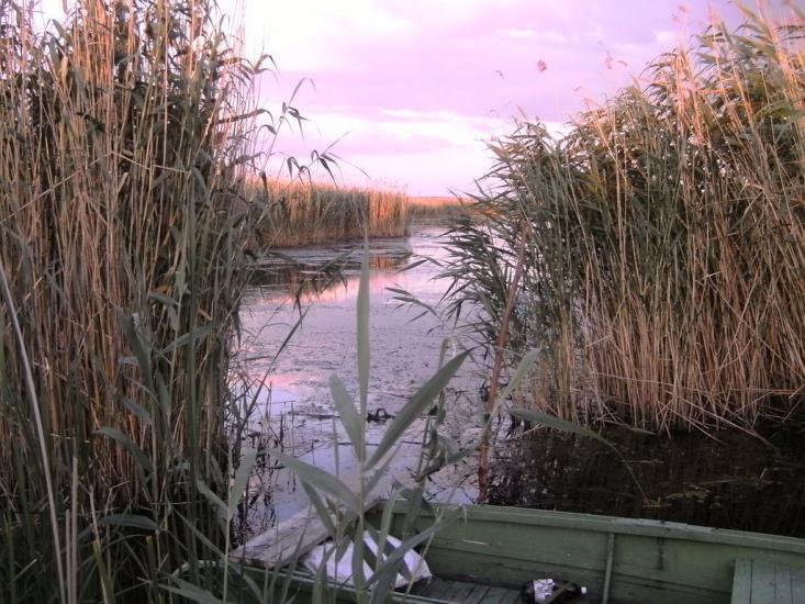 Гур'ївка з panoramio.com - Гурьевка