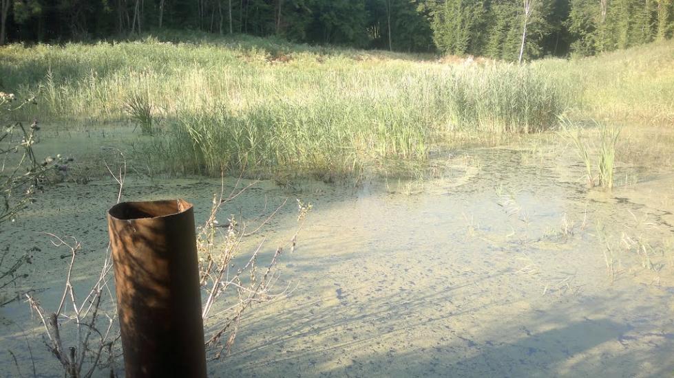 Іванківці з panoramio.com - Иванковцы