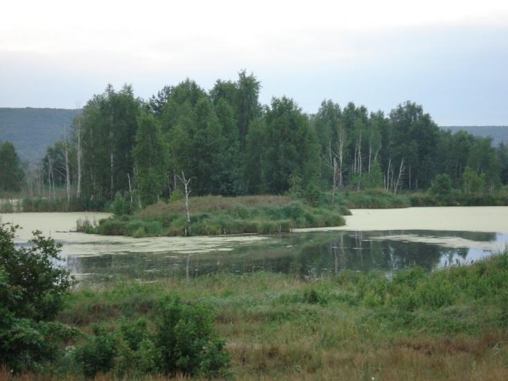 Старосілля з panoramio.com - Староселье