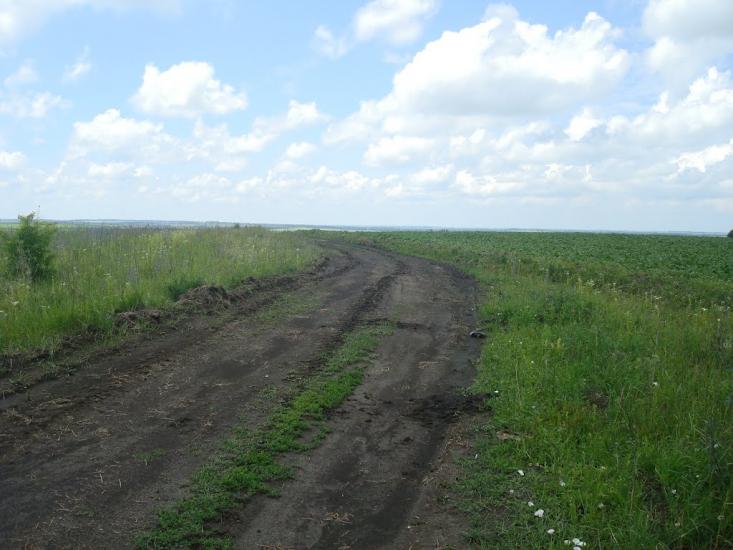Грузевиця з panoramio.com - Грузевиця