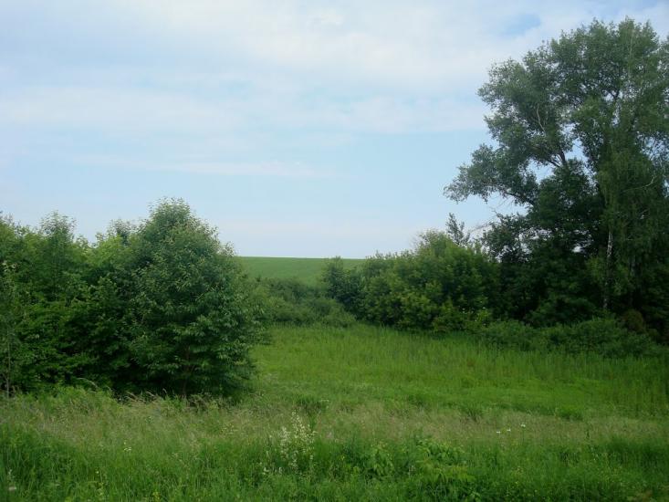 Мокіївці з panoramio.com - Мокіївці