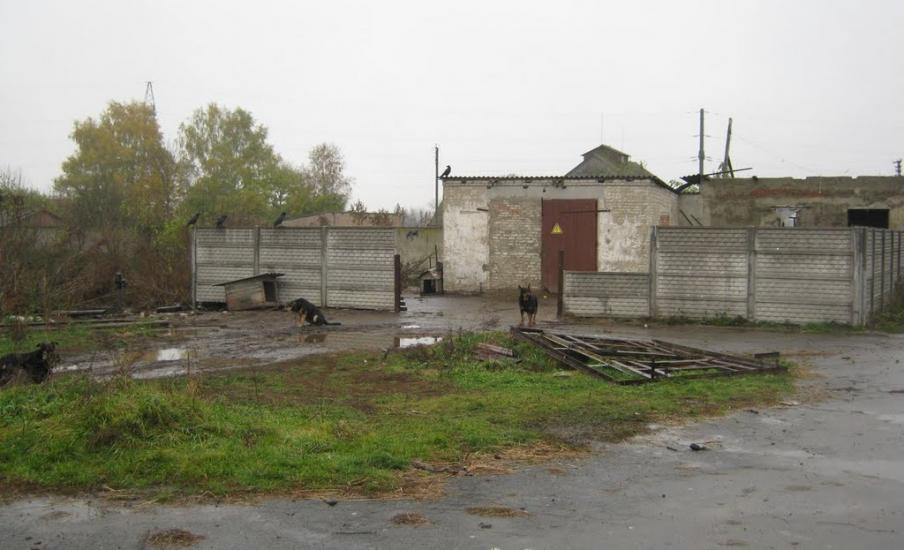 Крилів з panoramio.com - Крылов