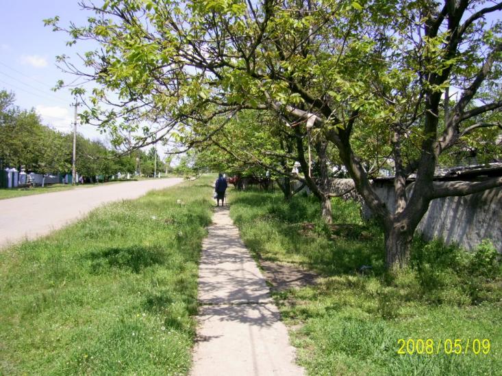 Снігурівка з panoramio.com - Снигиревка