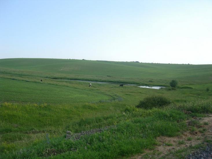 Чотирбоки з panoramio.com - Чотирбоки