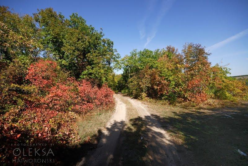 Партизанське з panoramio.com - Партизанское