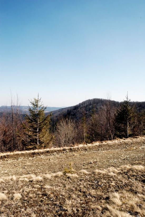 Букове з panoramio.com - Букове