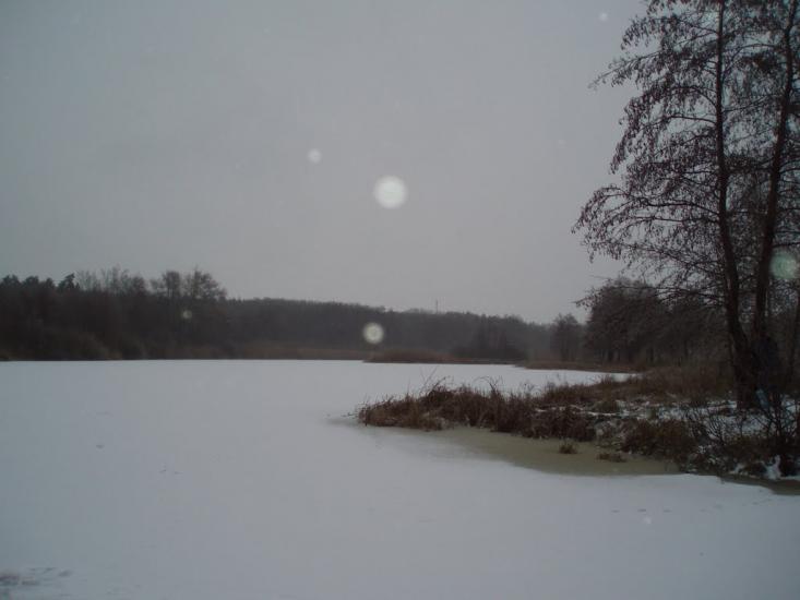 Верхоли з panoramio.com - Verkholy