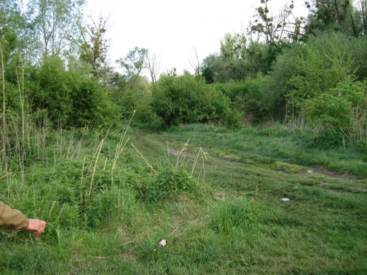 Старосілля з panoramio.com - Староселье
