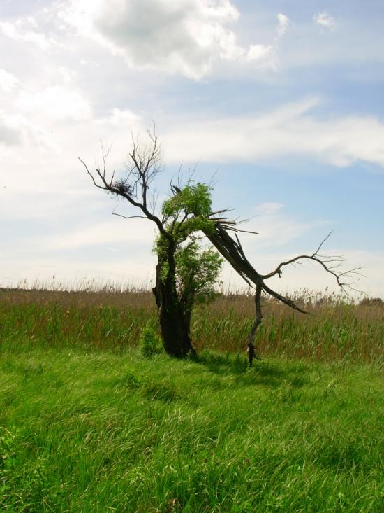 Колісники з panoramio.com - Колісники