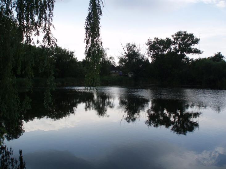 Комісарівка з panoramio.com - Комісарівка