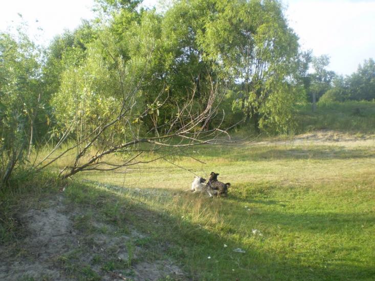 Слоут з panoramio.com - Слоут