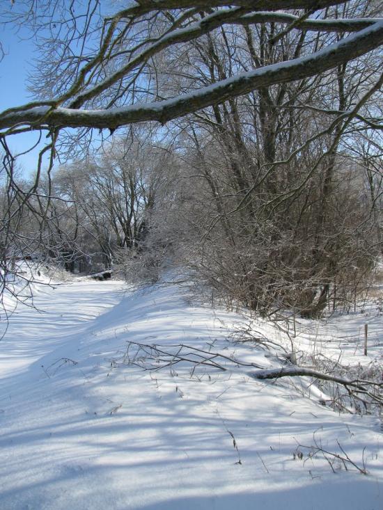 Домажир з panoramio.com - Домажир