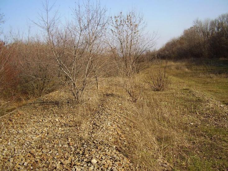 Фрунзе з panoramio.com - Фрунзе