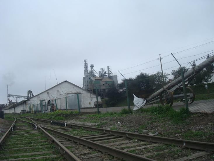 Буйволівці з panoramio.com - Буйволівці