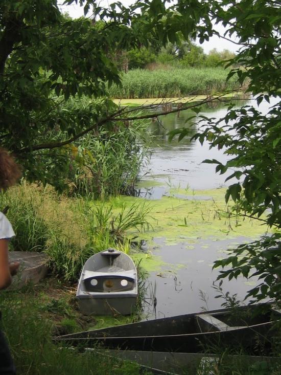 Мохнач з panoramio.com - Мохнач