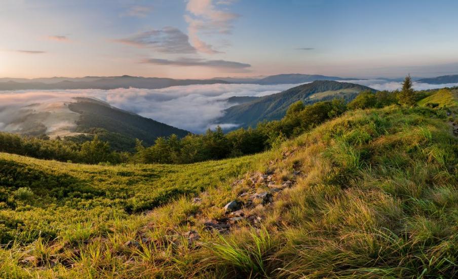 Усть-Чорна з panoramio.com - Усть-Чорна