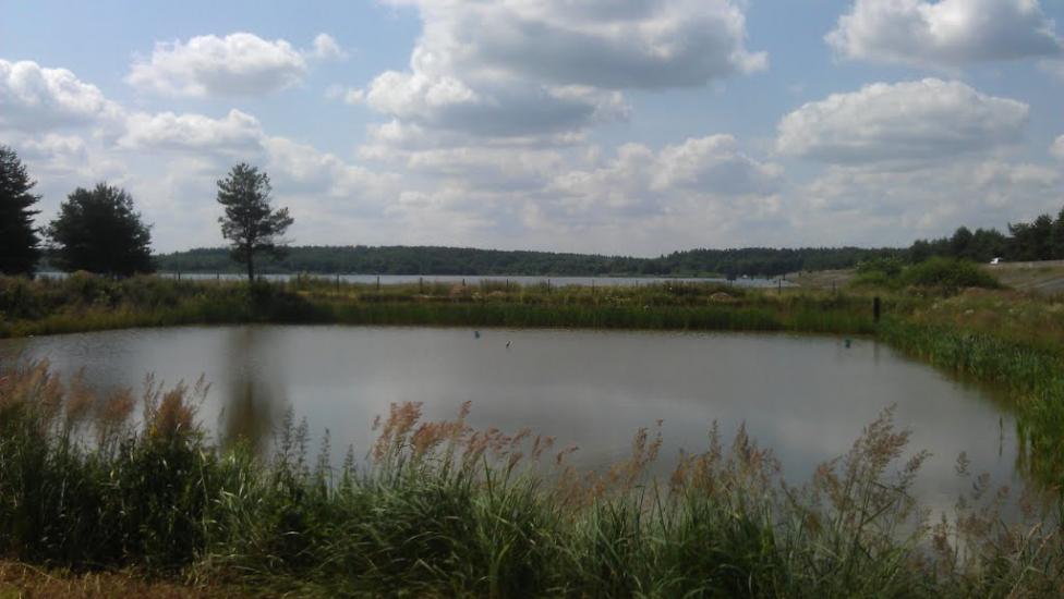 Оселя з panoramio.com - Оселя