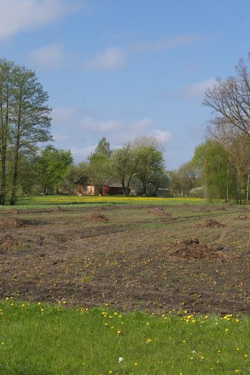 Велимче з panoramio.com - Велимче