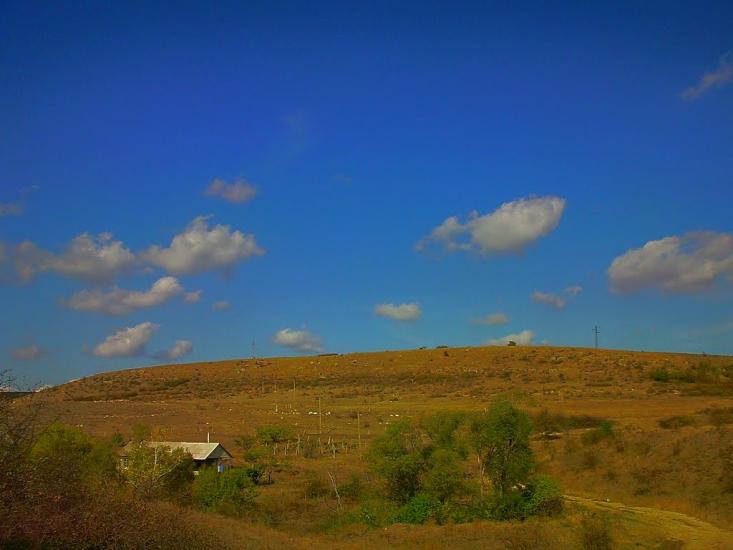 Рєпіне з panoramio.com - Рєпіне