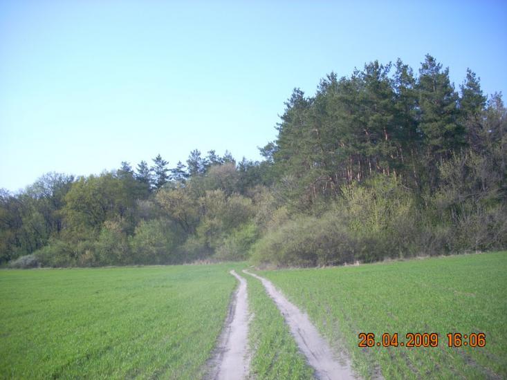 Котовка з panoramio.com - Котовка