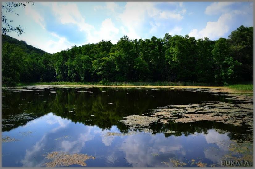Михайлівка з panoramio.com - Михайлівка