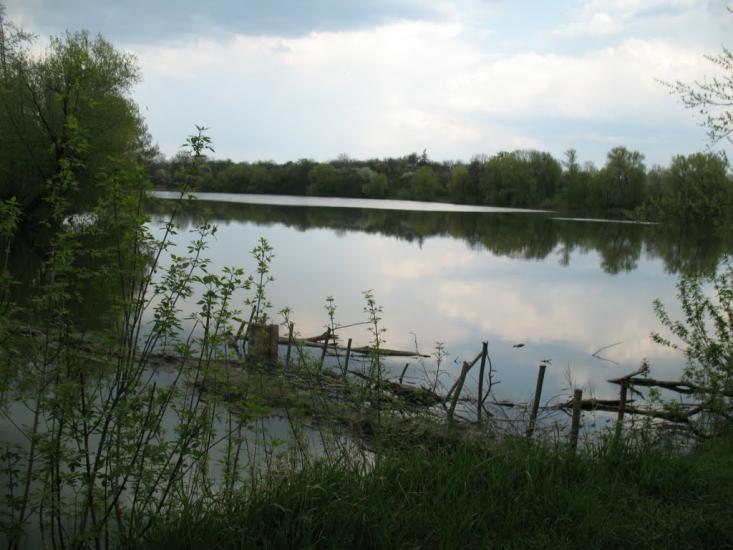 Велика Севастянівка з panoramio.com - Великая Севастьяновка
