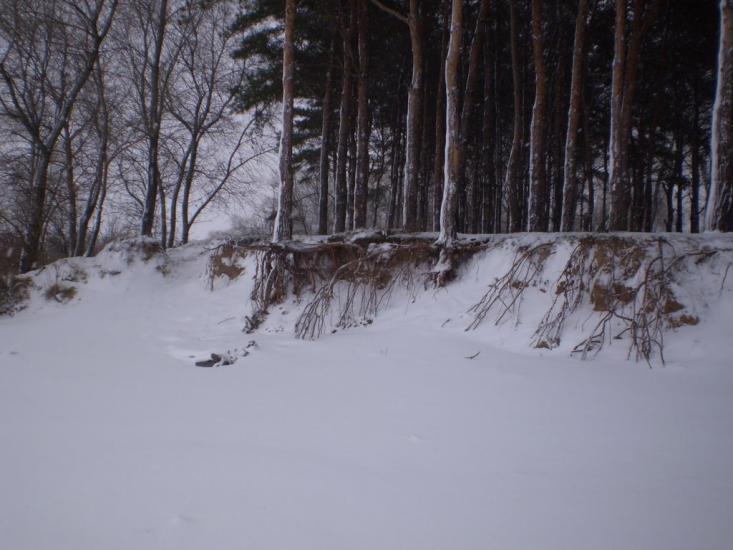 Кам'янка-Дніпровська з panoramio.com - Каменка-Днепровская