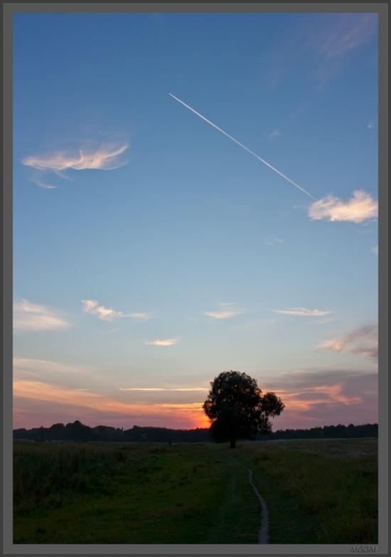 Кривуші з panoramio.com - Кривуши