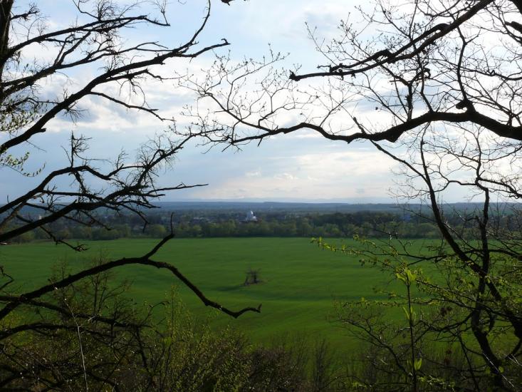 Журавно з panoramio.com - Журавно