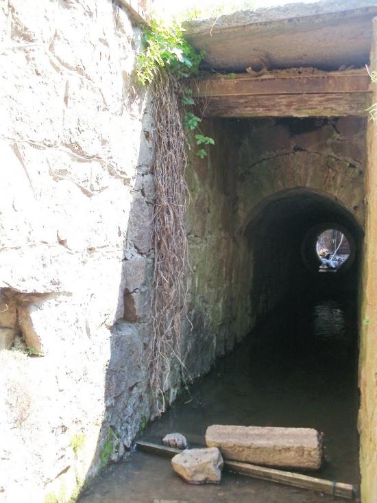 Жерденівка з panoramio.com - Жерденівка