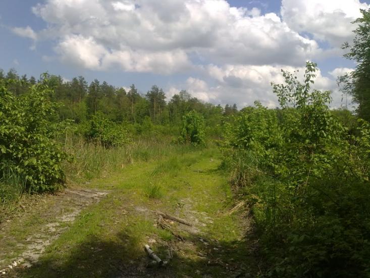 Білотин з panoramio.com - Білотин