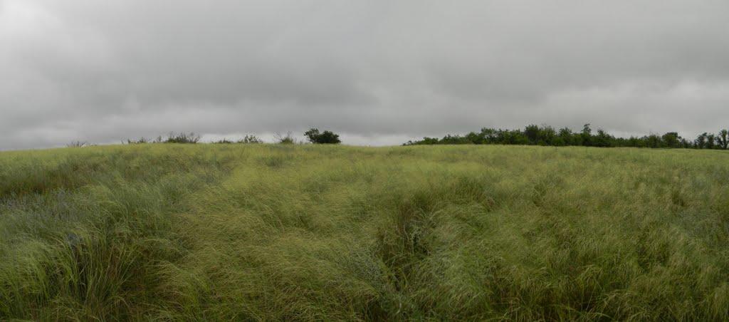 Шолохове з panoramio.com - Шолохово