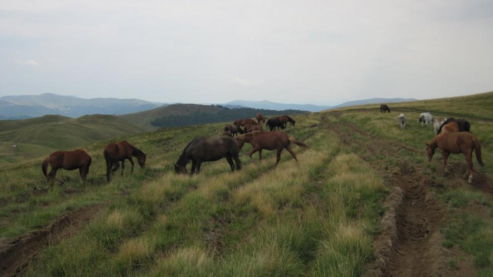 Руська Мокра з panoramio.com - Русская Мокрая
