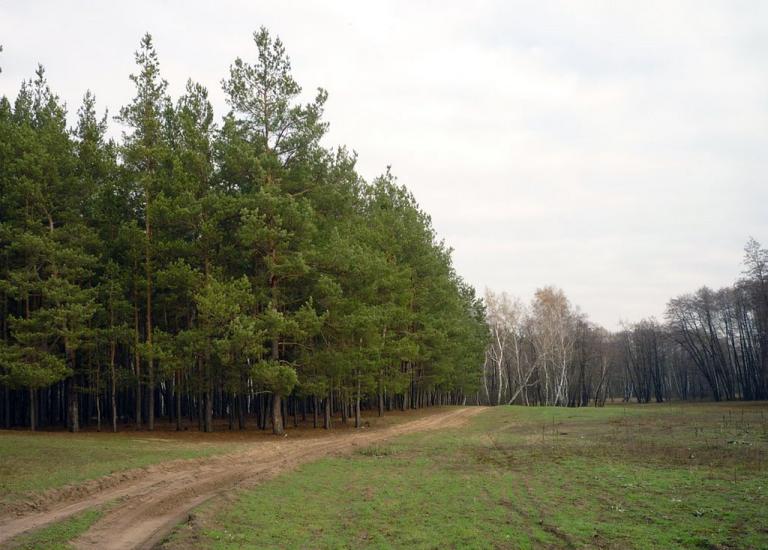 Старий Караван з panoramio.com - Staryy Karavan