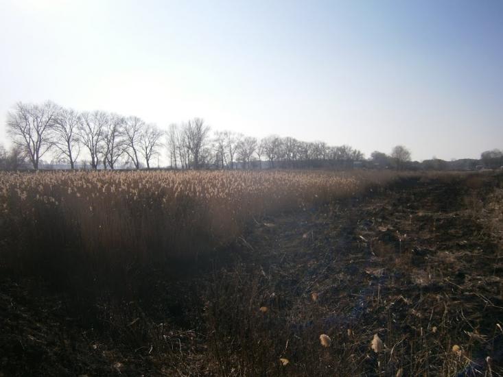 Кіндрівка з panoramio.com - Кіндрівка