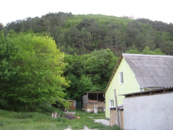 Багата Ущелина з panoramio.com - Bagata Uschelyna