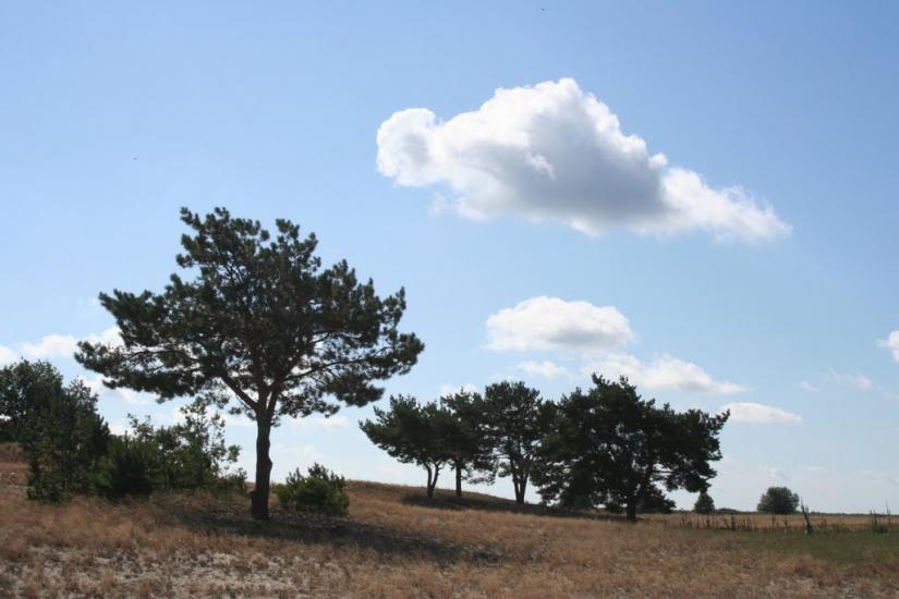 Хабарище з panoramio.com - Хабарище