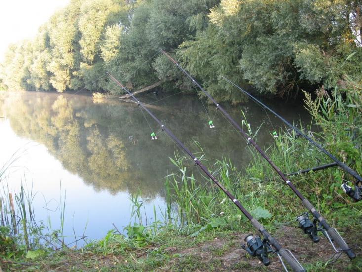 Шумівці з panoramio.com - Шумовцы