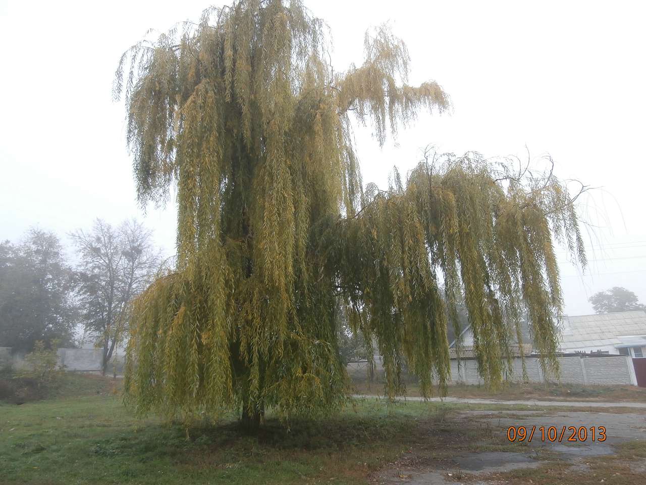 СТЕБНЕ. ХРАМ - Stebne