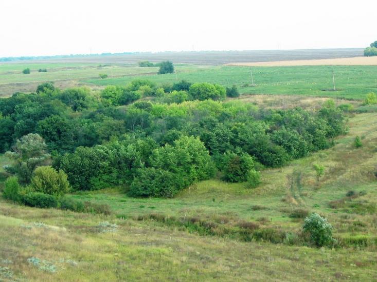 Васютинське з panoramio.com - Васютинське