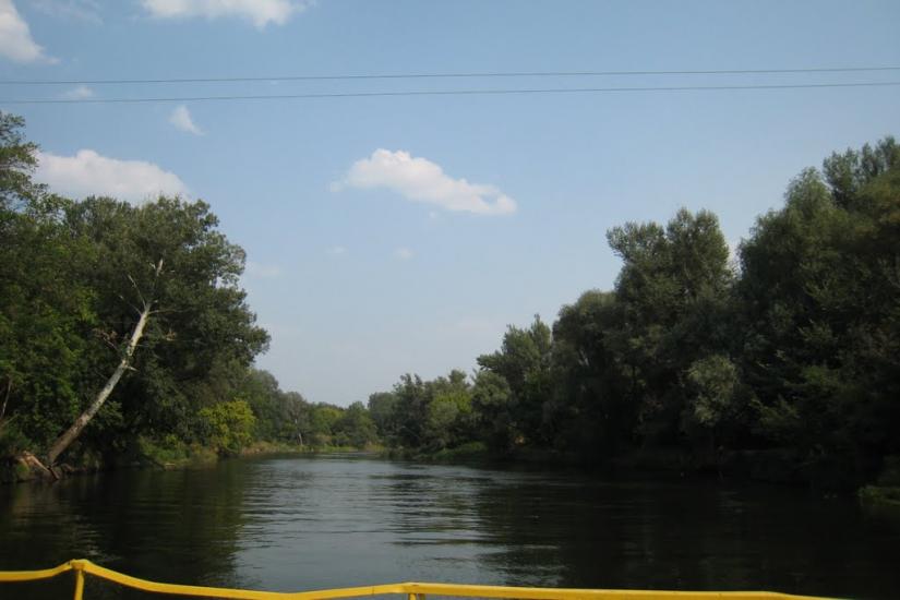 Нижнє з panoramio.com - Nyzhnye