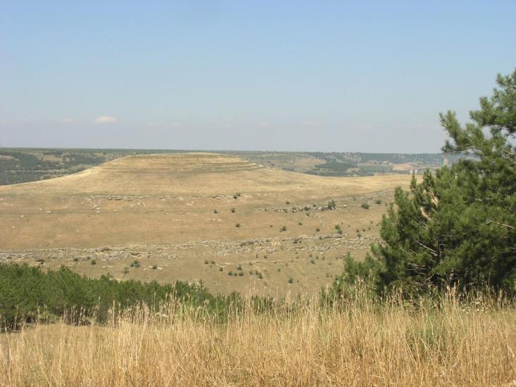 Некрасовка з panoramio.com - Некрасовка