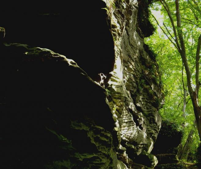 Слобода-Бушанська з panoramio.com - Слобода-Бушанська