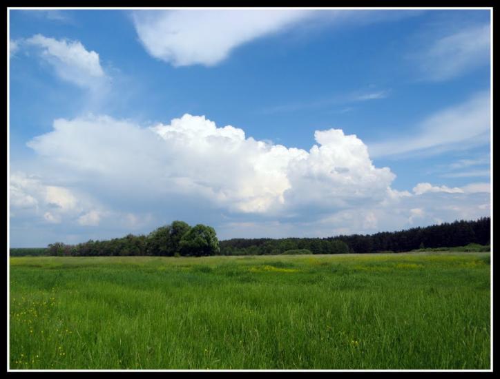 Хорошеве з panoramio.com - Хорошево