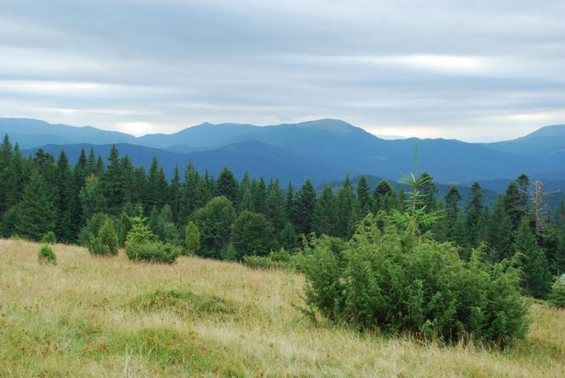 Згари з panoramio.com - Згари