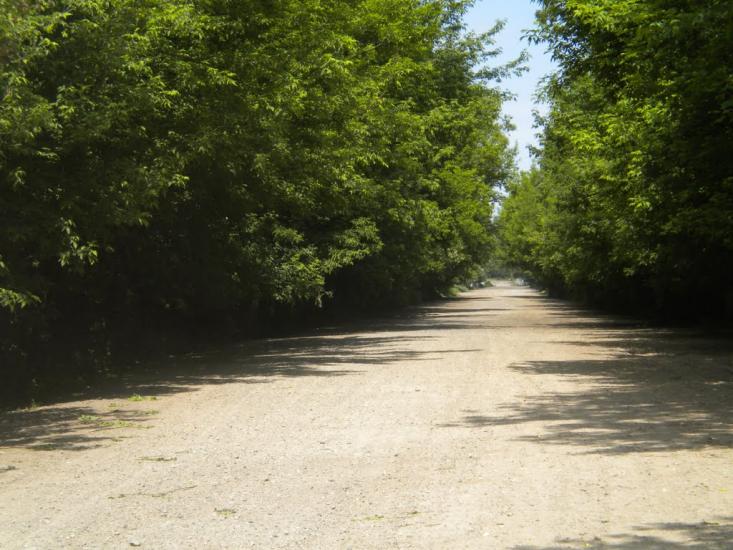 Кунин з panoramio.com - Кунин