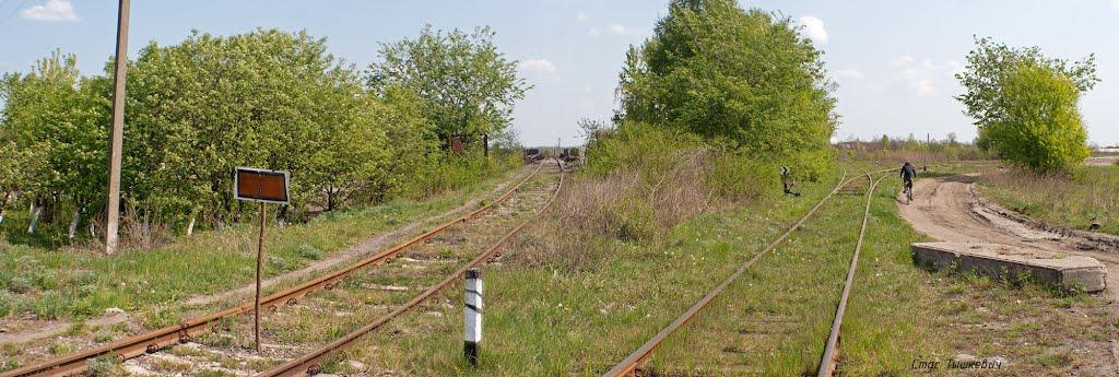 Сквира з panoramio.com - Сквира